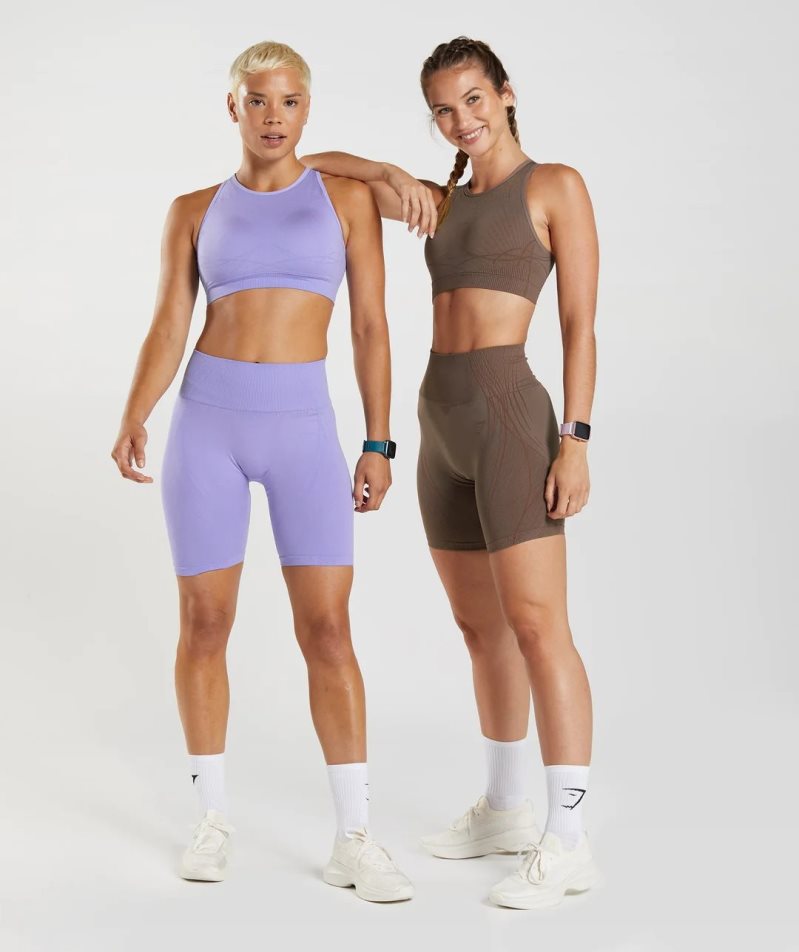 Gymshark Apex Seamless Kurze Hose Damen Lila | 68937LAJH