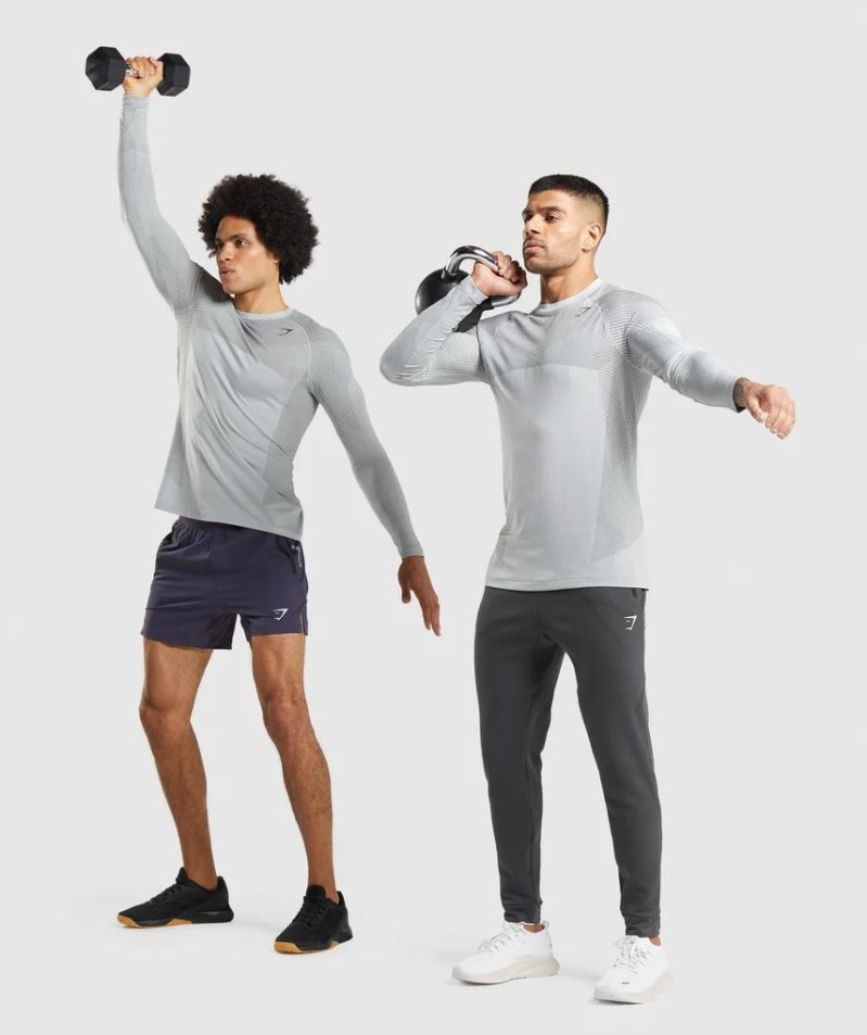 Gymshark Apex Seamless Long Sleeve T-shirts Herren Hellgrau | 61375AEWJ