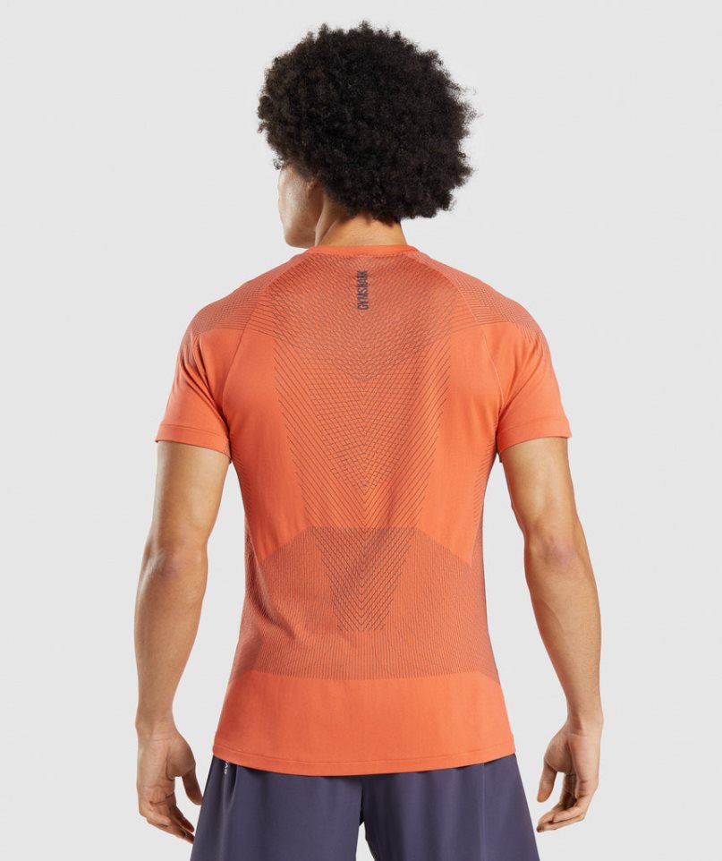 Gymshark Apex Seamless T-shirts Herren Orange | 41835UQCP