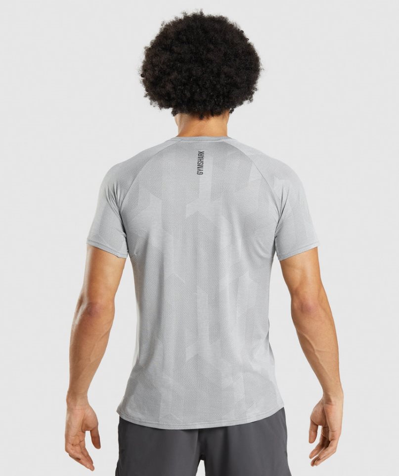 Gymshark Apex T-shirts Herren Hellgrau | 05297RZUN