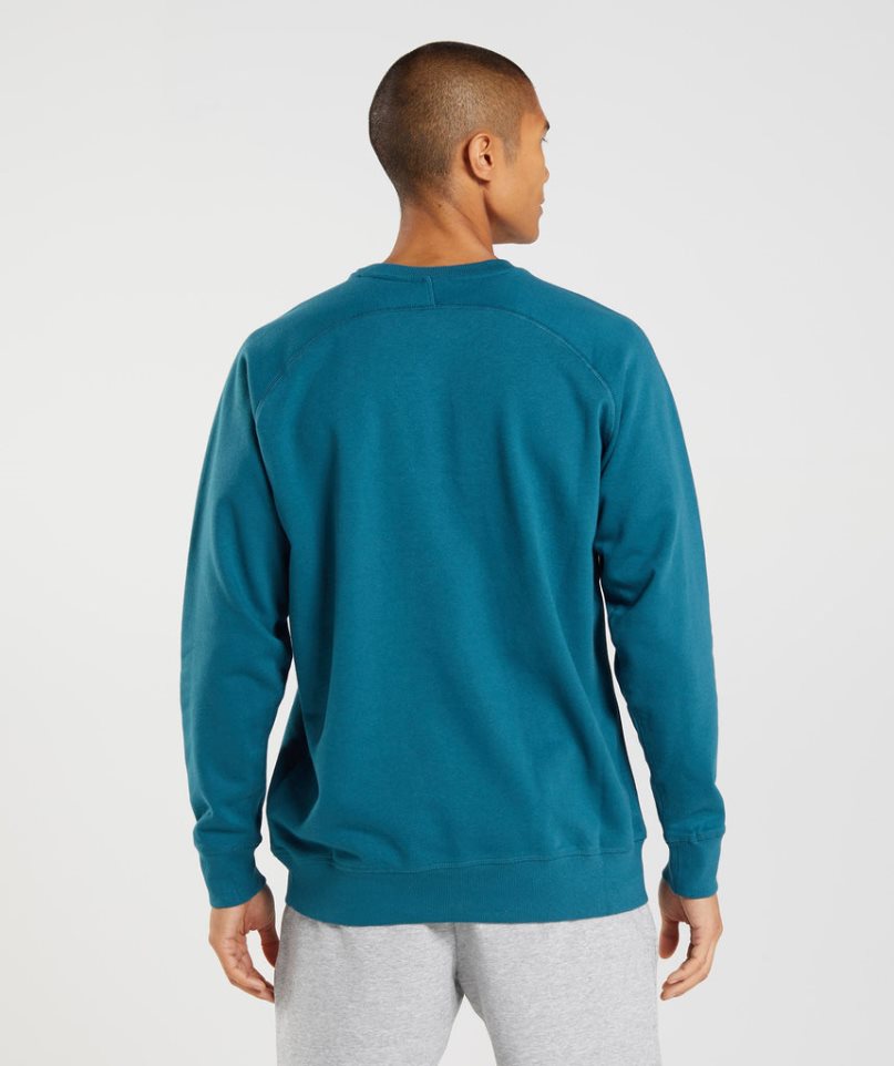 Gymshark Apollo Crew Sweatshirts Herren Türkis | 75023RSPV