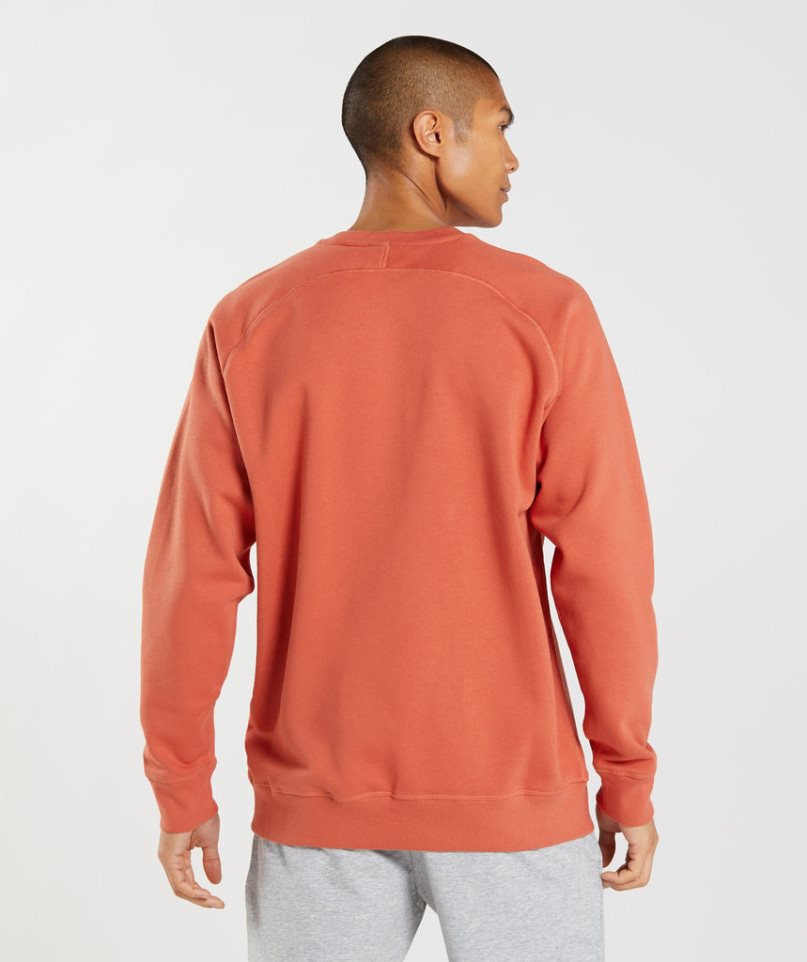 Gymshark Apollo Crew Sweatshirts Herren Orange | 78361CAKT