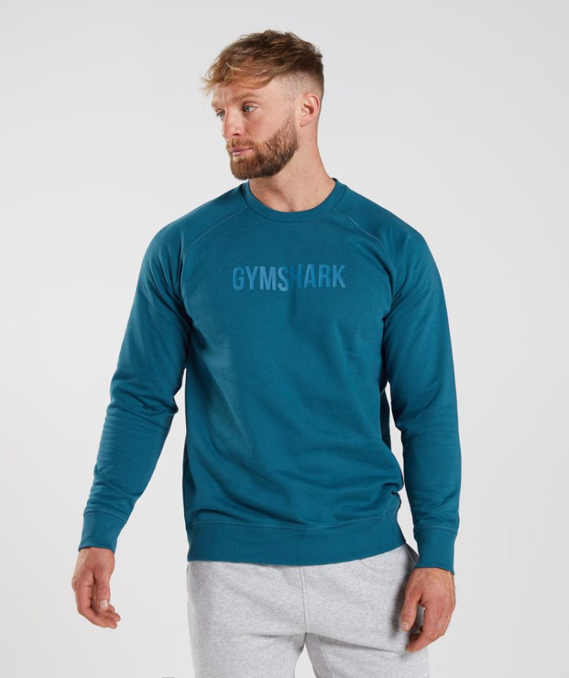 Gymshark Apollo Crew Sweatshirts Herren Türkis | 95102DGBE