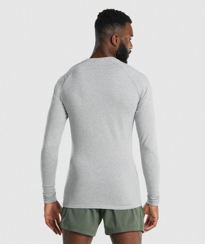 Gymshark Apollo Long Sleeve T-shirts Herren Hellgrau | 95780PLIG