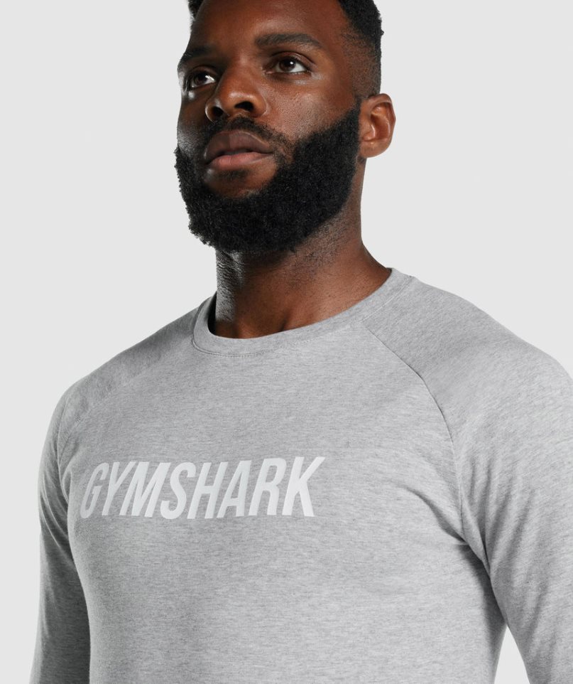 Gymshark Apollo Long Sleeve T-shirts Herren Hellgrau | 95780PLIG