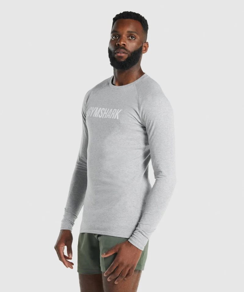 Gymshark Apollo Long Sleeve T-shirts Herren Hellgrau | 95780PLIG