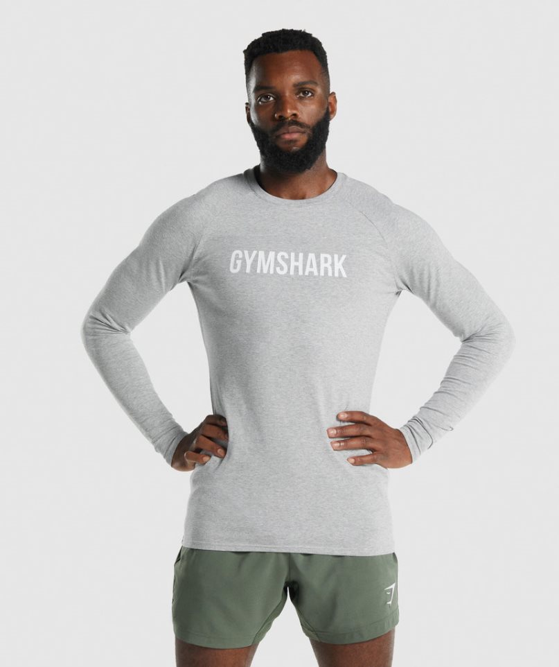 Gymshark Apollo Long Sleeve T-shirts Herren Hellgrau | 95780PLIG