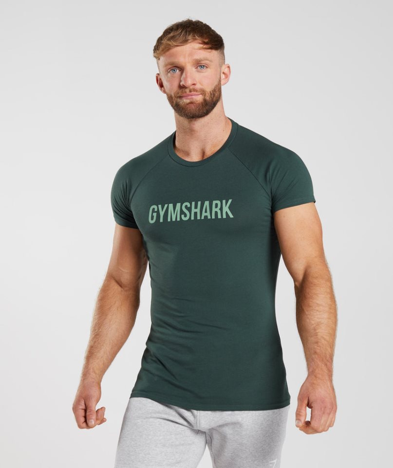 Gymshark Apollo T-shirts Herren Grün | 34608JAYR