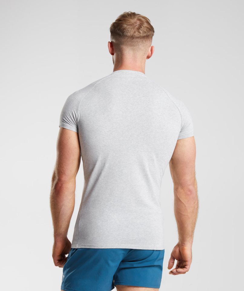 Gymshark Apollo T-shirts Herren Hellgrau | 81732SPHO