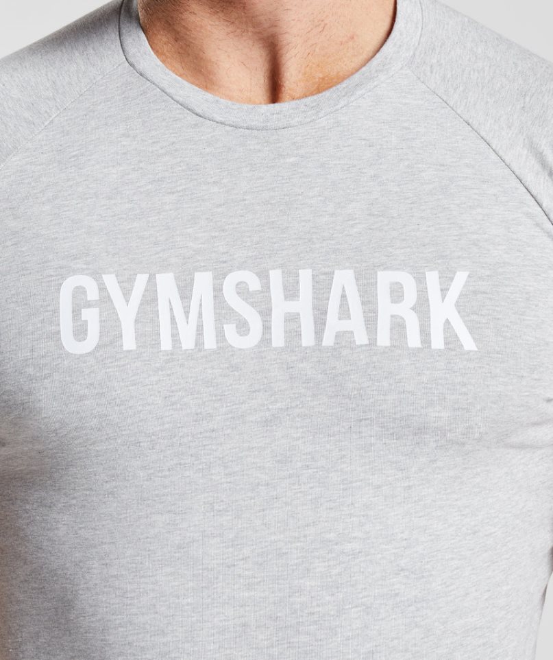 Gymshark Apollo T-shirts Herren Hellgrau | 81732SPHO