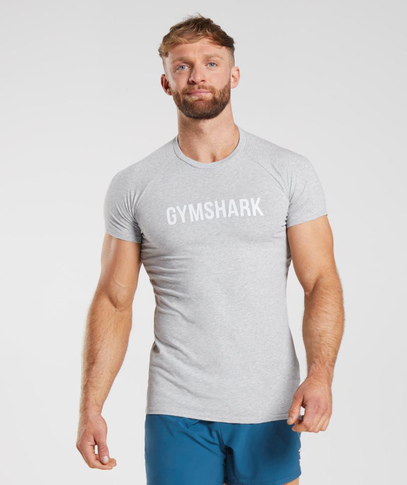 Gymshark Apollo T-shirts Herren Hellgrau | 81732SPHO