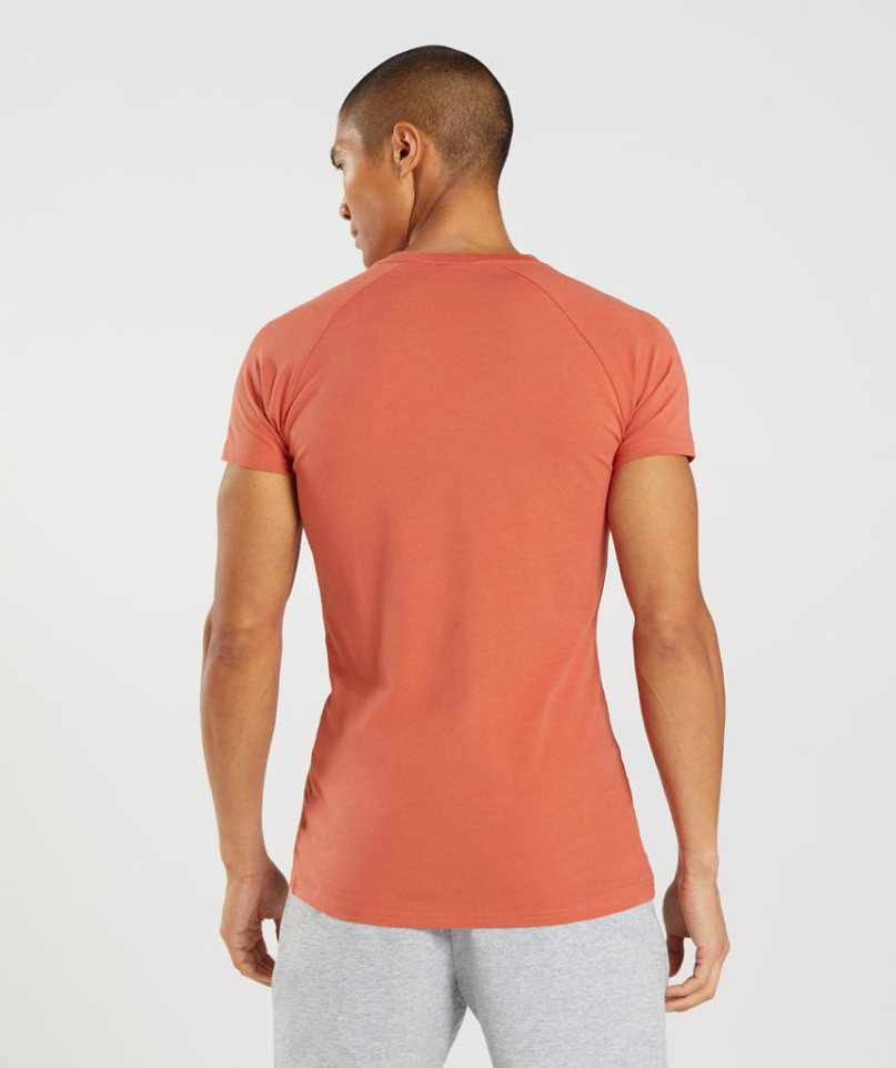 Gymshark Apollo T-shirts Herren Orange | 63742EHUW