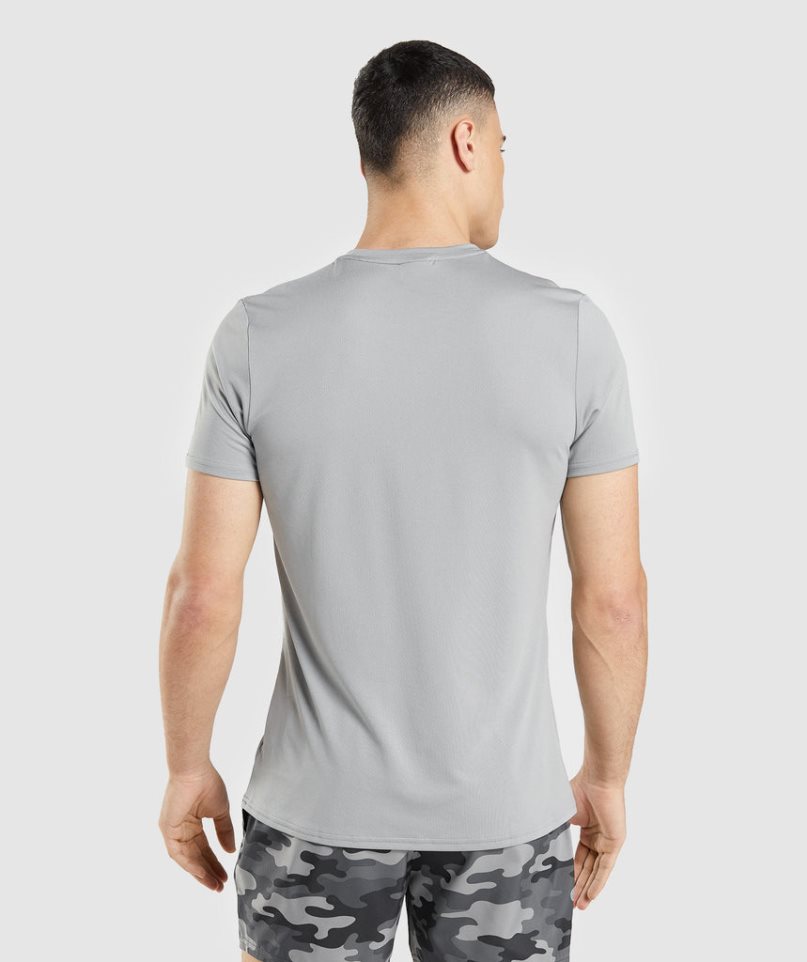 Gymshark Arrival Graphic T-shirts Herren Hellgrau | 31469HJUS