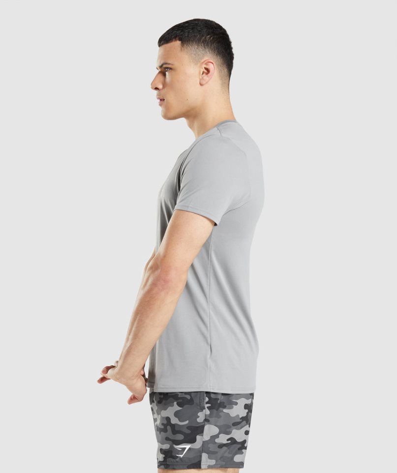 Gymshark Arrival Graphic T-shirts Herren Hellgrau | 31469HJUS