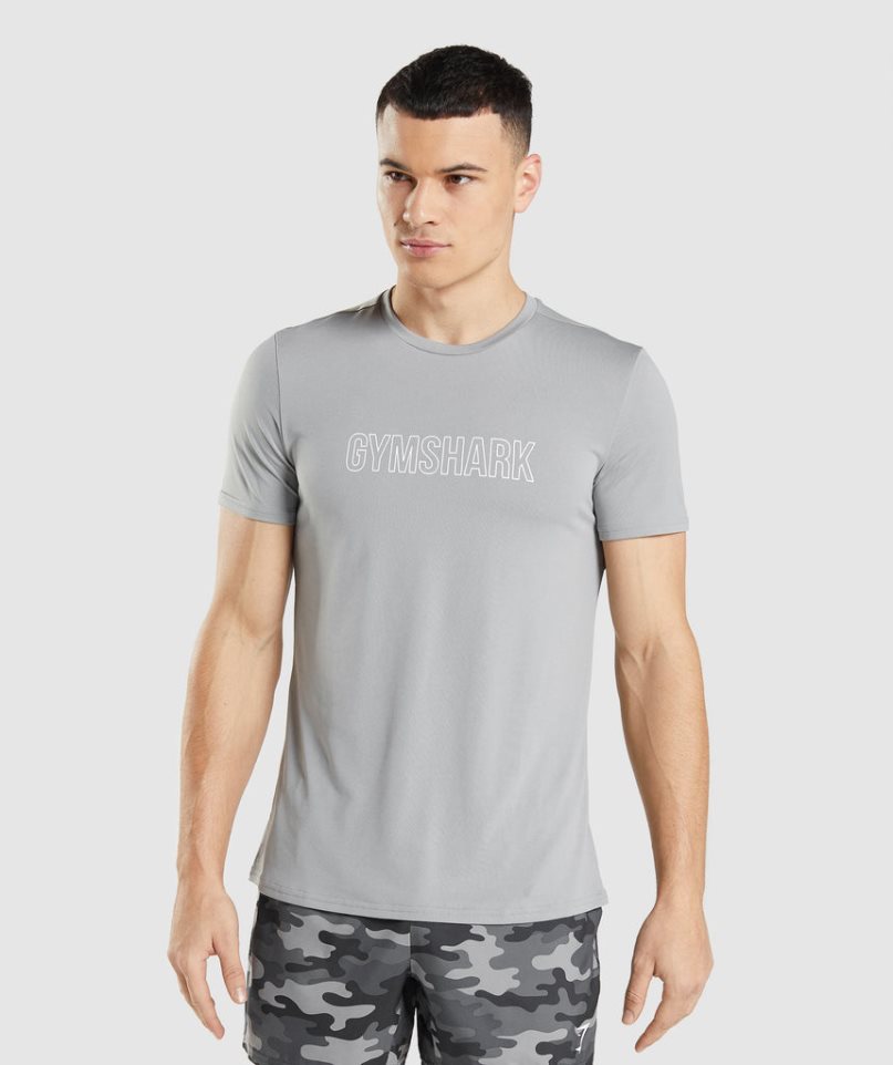 Gymshark Arrival Graphic T-shirts Herren Hellgrau | 31469HJUS