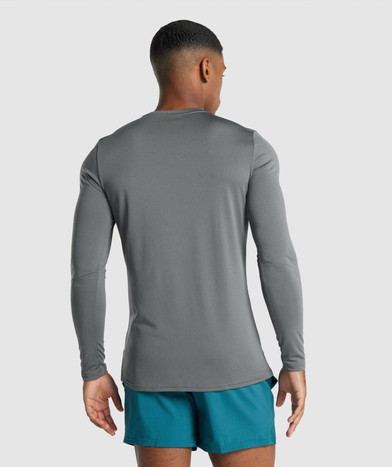 Gymshark Arrival Long Sleeve Graphic T-shirts Herren Grau | 24358WMOT