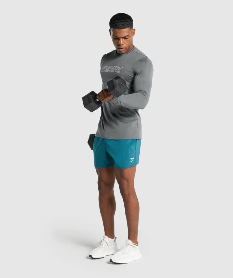 Gymshark Arrival Long Sleeve Graphic T-shirts Herren Grau | 24358WMOT