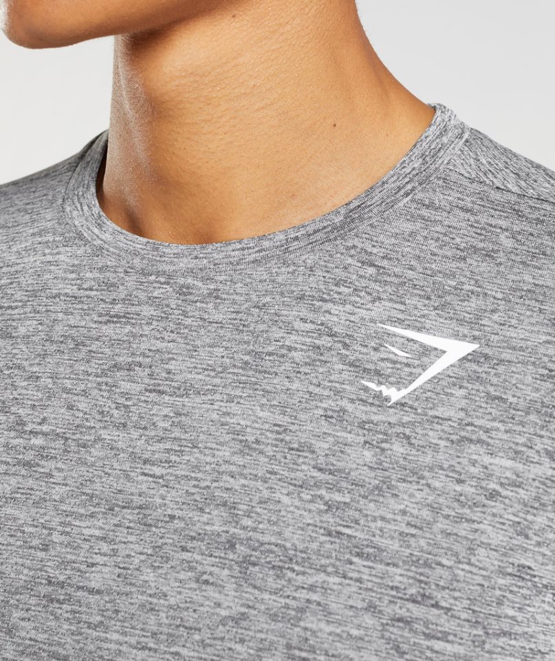 Gymshark Arrival Long Sleeve T-shirts Herren Grau | 82731JSZW