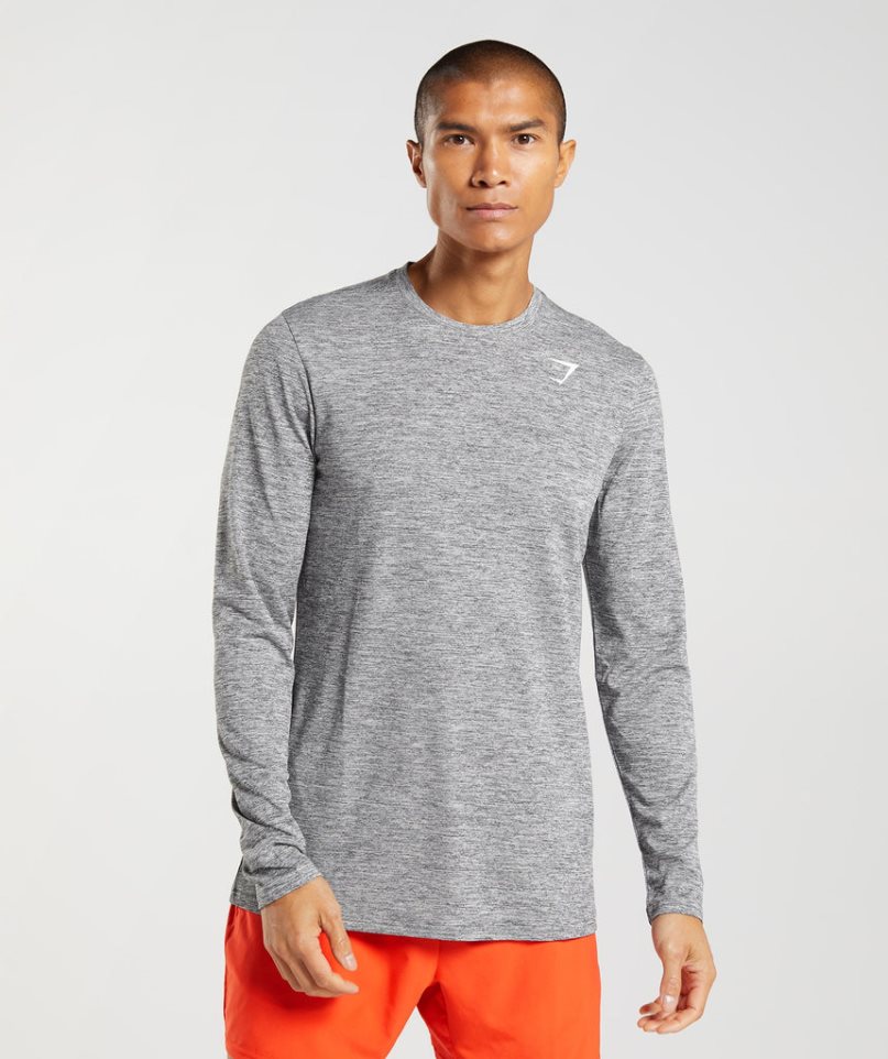 Gymshark Arrival Long Sleeve T-shirts Herren Grau | 82731JSZW