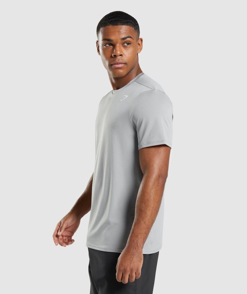 Gymshark Arrival Regular Fit T-shirts Herren Hellgrau | 42139INZQ