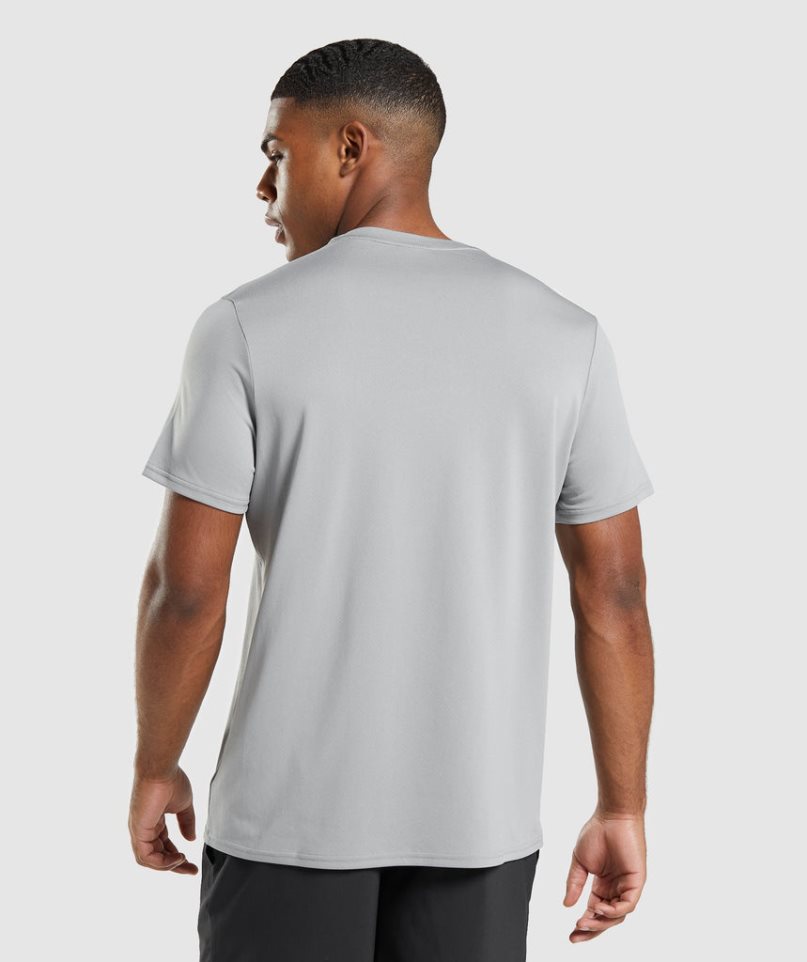 Gymshark Arrival Regular Fit T-shirts Herren Hellgrau | 42139INZQ