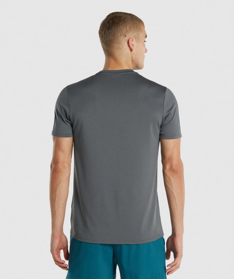 Gymshark Arrival Regular Fit T-shirts Herren Grau | 48902VQGM