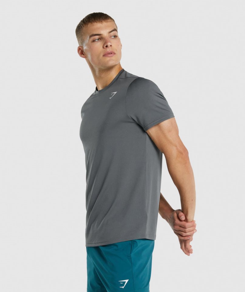 Gymshark Arrival Regular Fit T-shirts Herren Grau | 48902VQGM