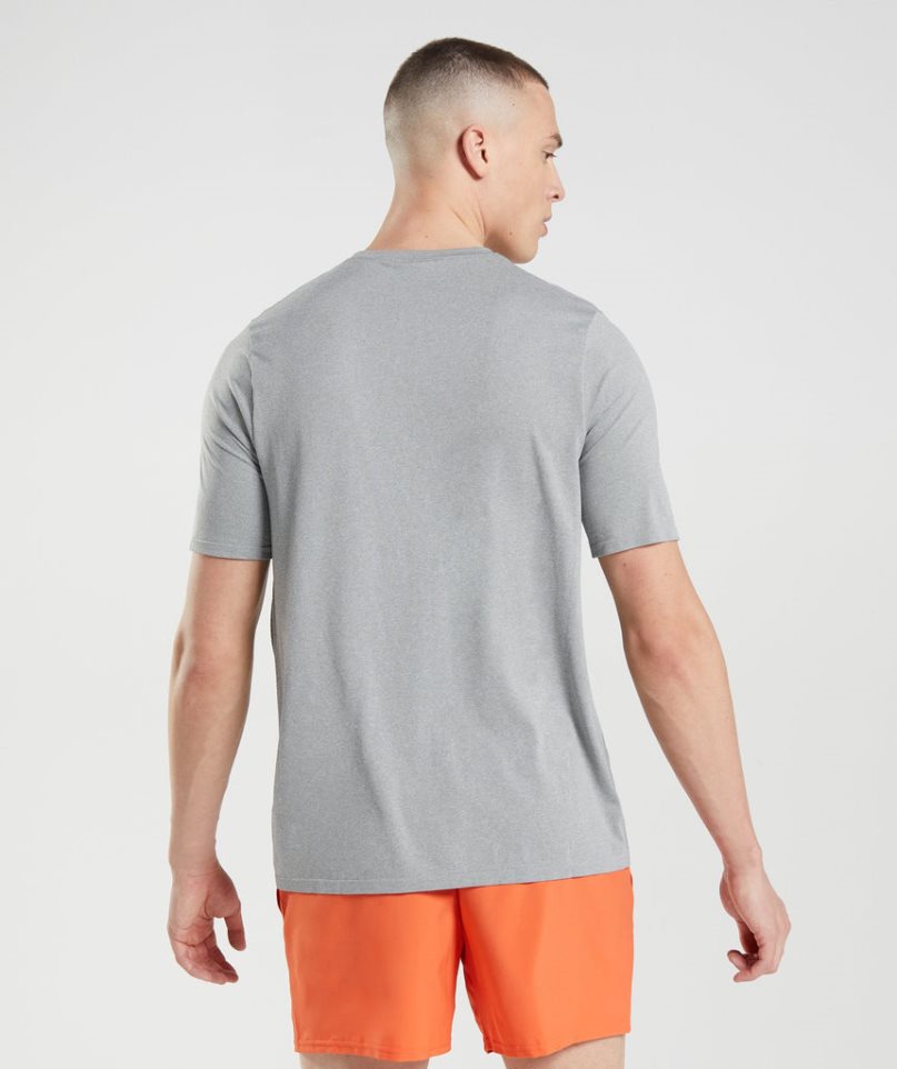 Gymshark Arrival Seamless T-shirts Herren Hellgrau | 36412MUIS