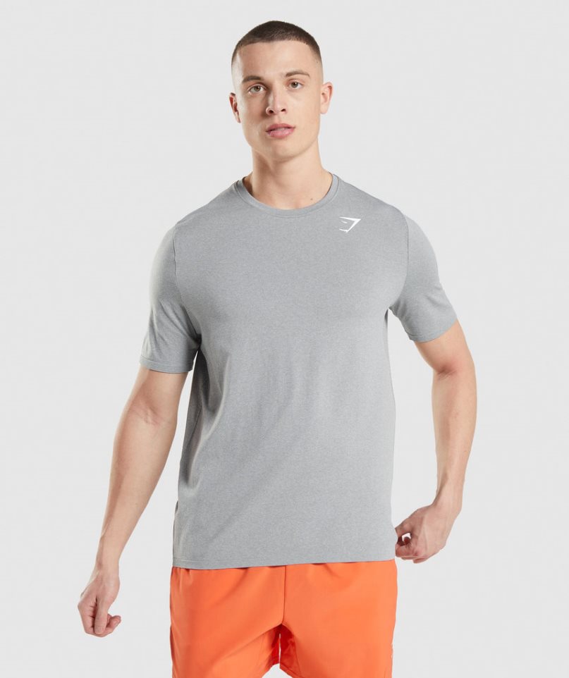 Gymshark Arrival Seamless T-shirts Herren Hellgrau | 36412MUIS