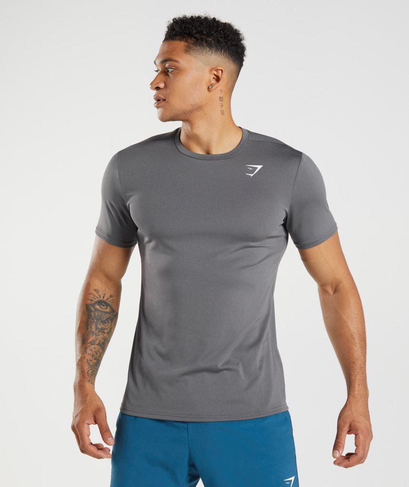 Gymshark Arrival T-shirts Herren Grau | 14509VXRZ