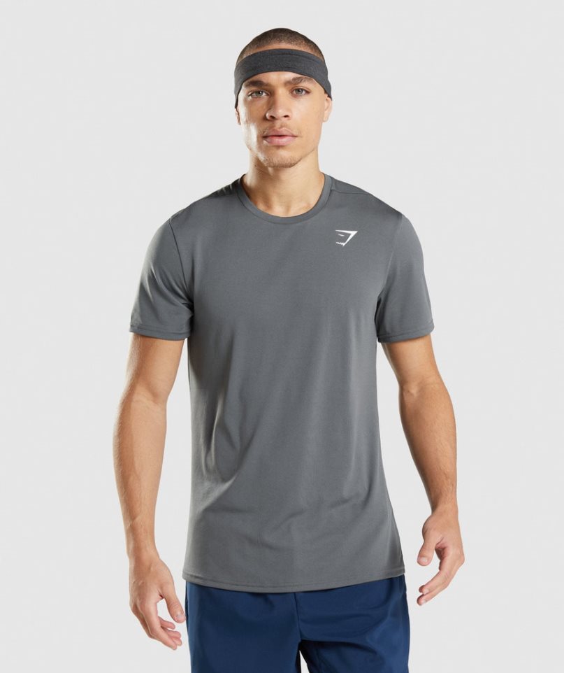 Gymshark Arrival T-shirts Herren Grau | 36710XWYO