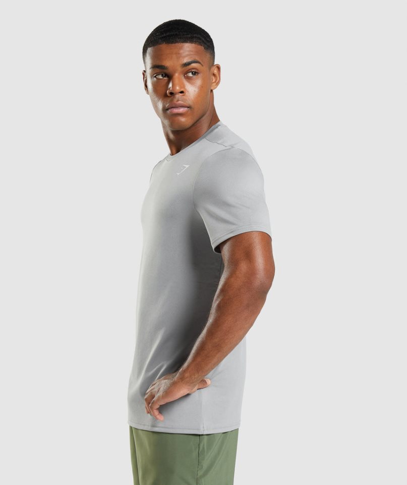 Gymshark Arrival T-shirts Herren Hellgrau | 73104LYOK