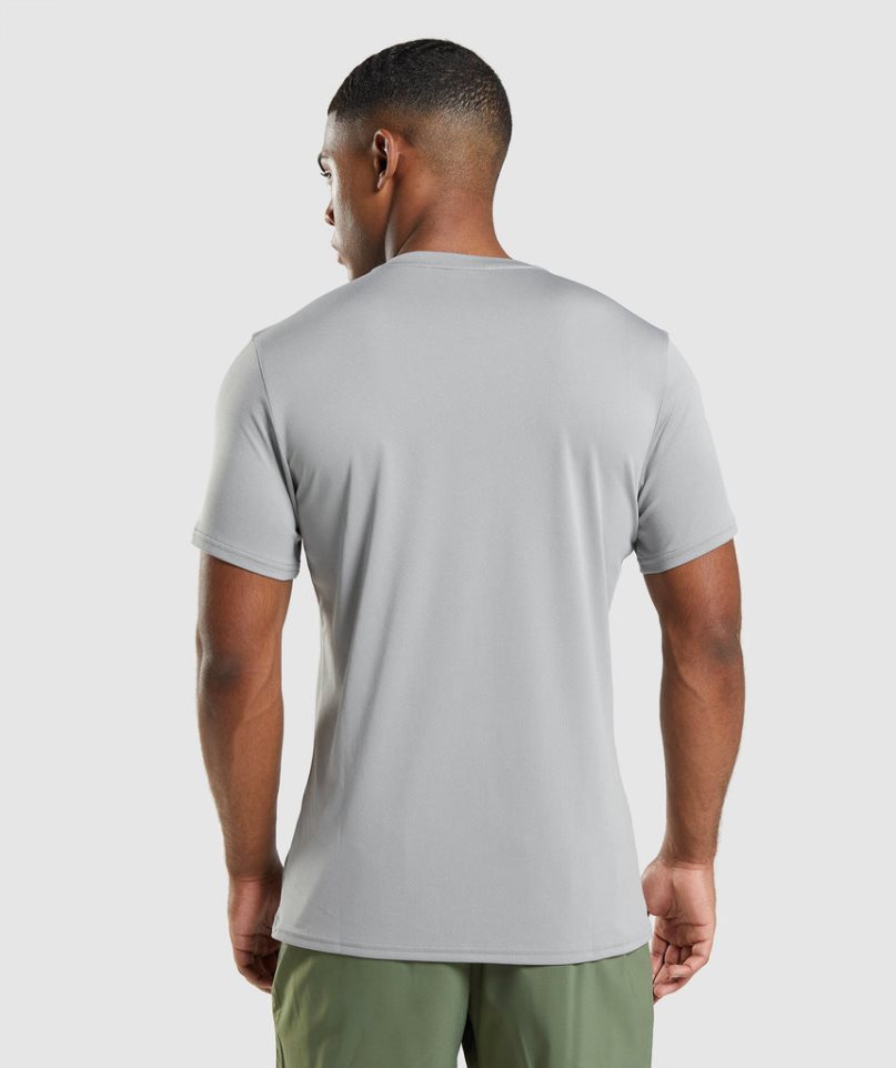 Gymshark Arrival T-shirts Herren Hellgrau | 73104LYOK