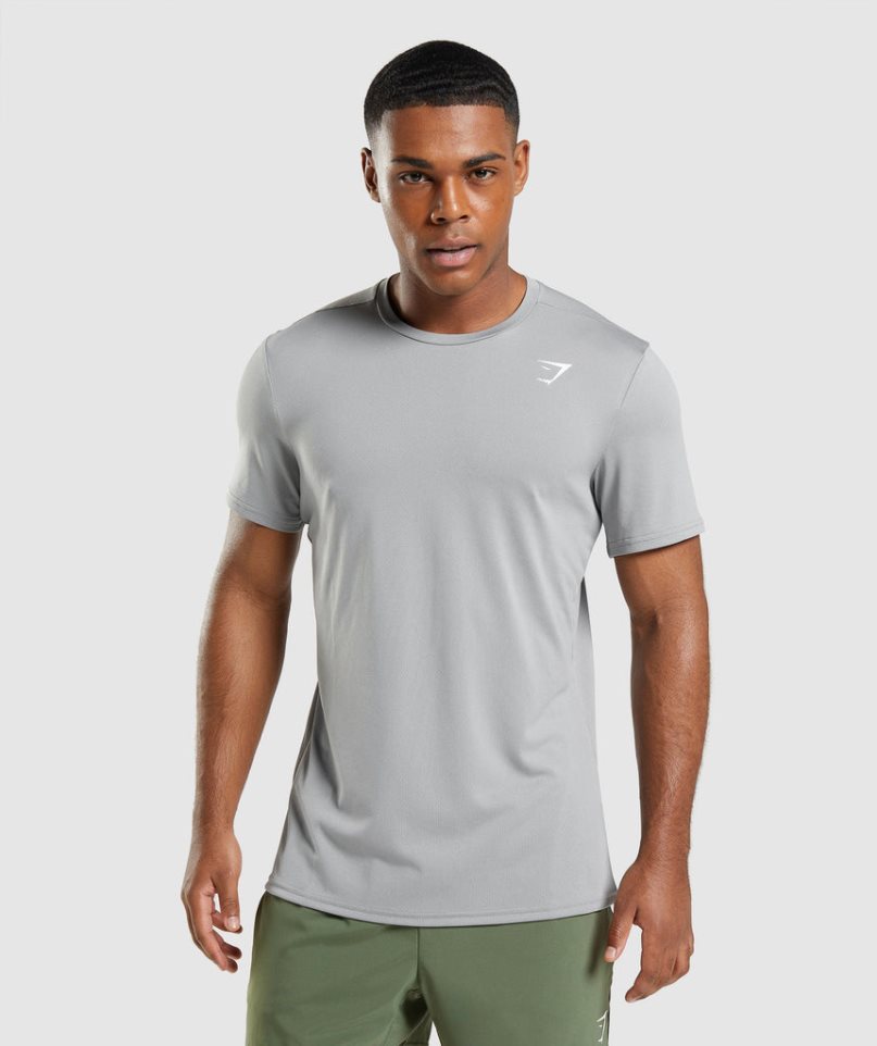 Gymshark Arrival T-shirts Herren Hellgrau | 73104LYOK