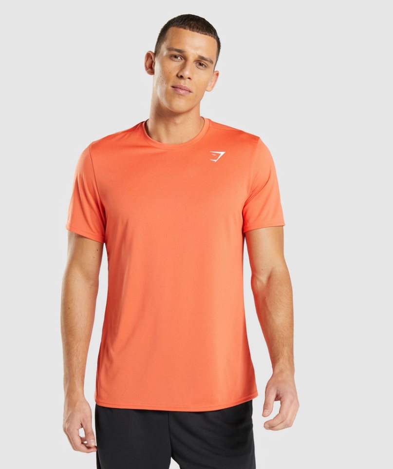 Gymshark Arrival T-shirts Herren Orange | 10274VBTU