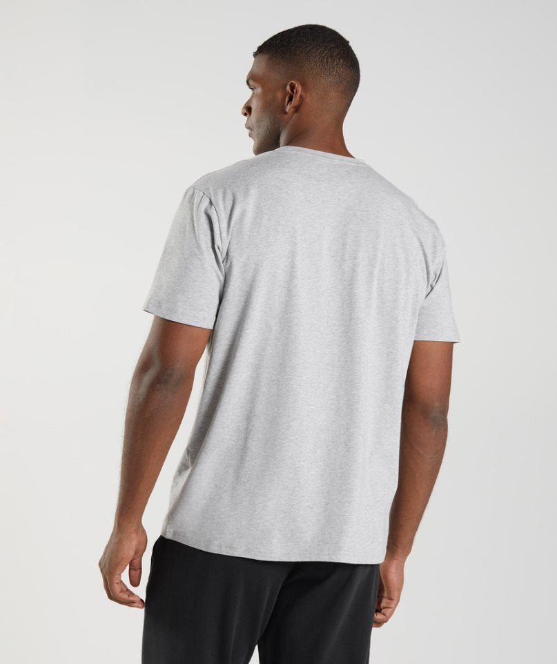 Gymshark Block T-shirts Herren Hellgrau | 48915FIEP