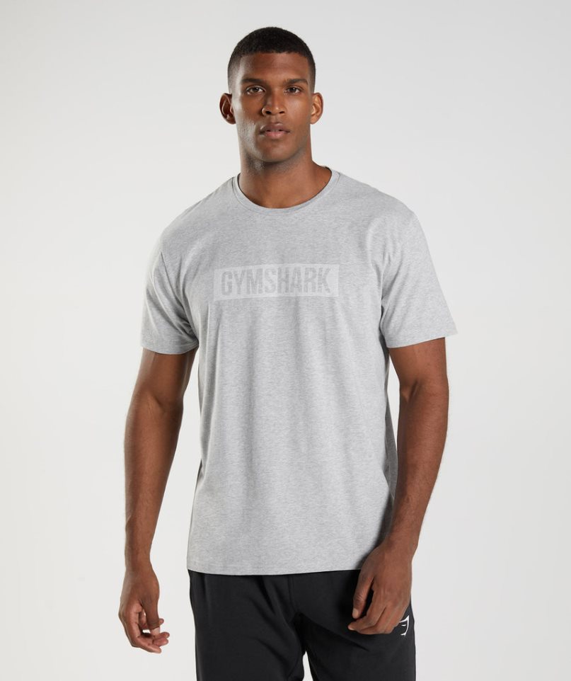 Gymshark Block T-shirts Herren Hellgrau | 48915FIEP