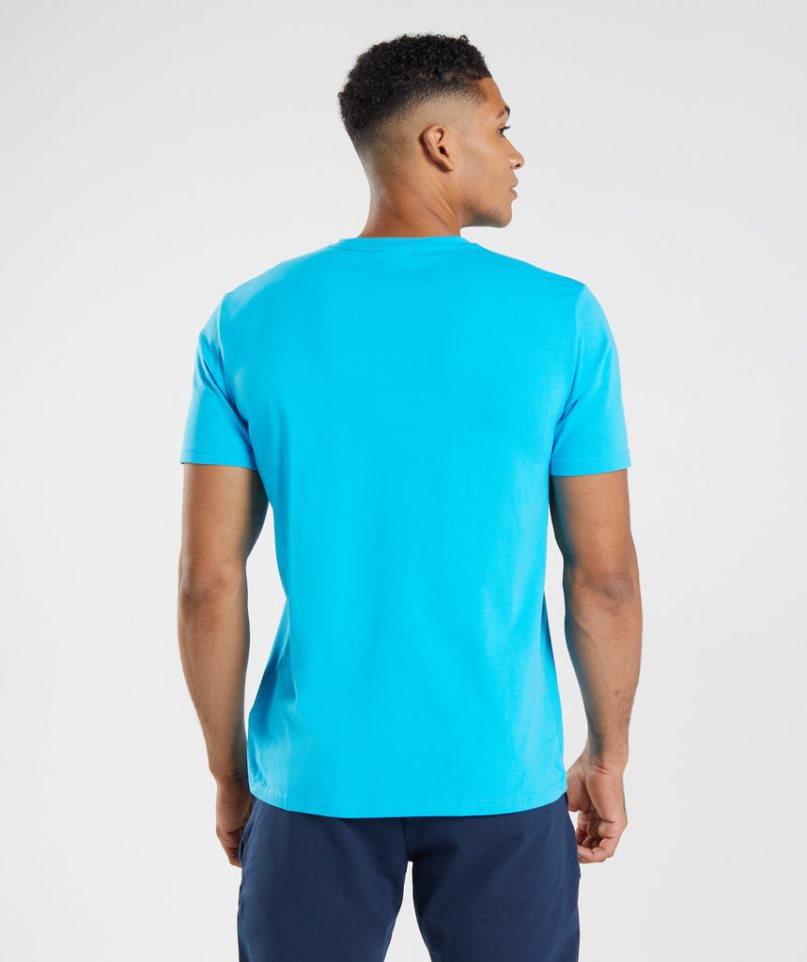 Gymshark Block T-shirts Herren Türkis | 59302ZVFX