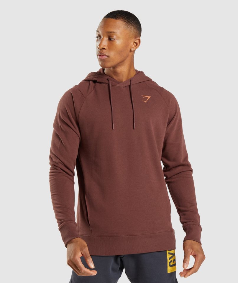 Gymshark Bold Hoodie Herren Braun | 16928ACHO