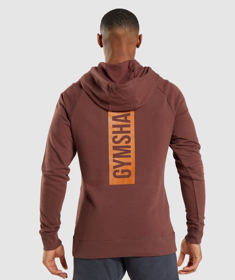 Gymshark Bold Hoodie Herren Braun | 16928ACHO