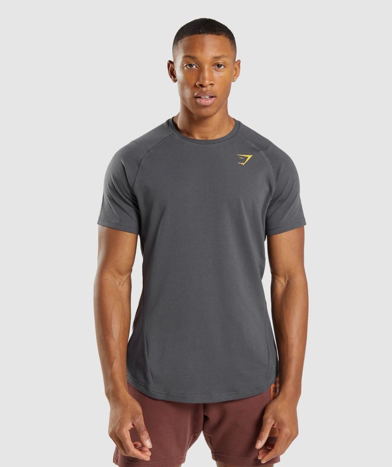 Gymshark Bold T-shirts Herren Dunkelgrau | 76340WJNX