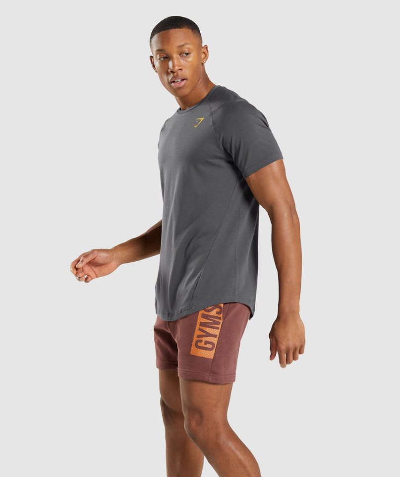 Gymshark Bold T-shirts Herren Dunkelgrau | 76340WJNX