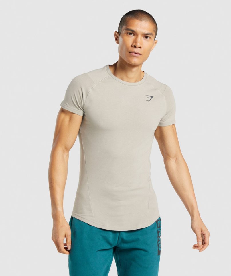 Gymshark Bold T-shirts Herren Grau | 14659HGLJ