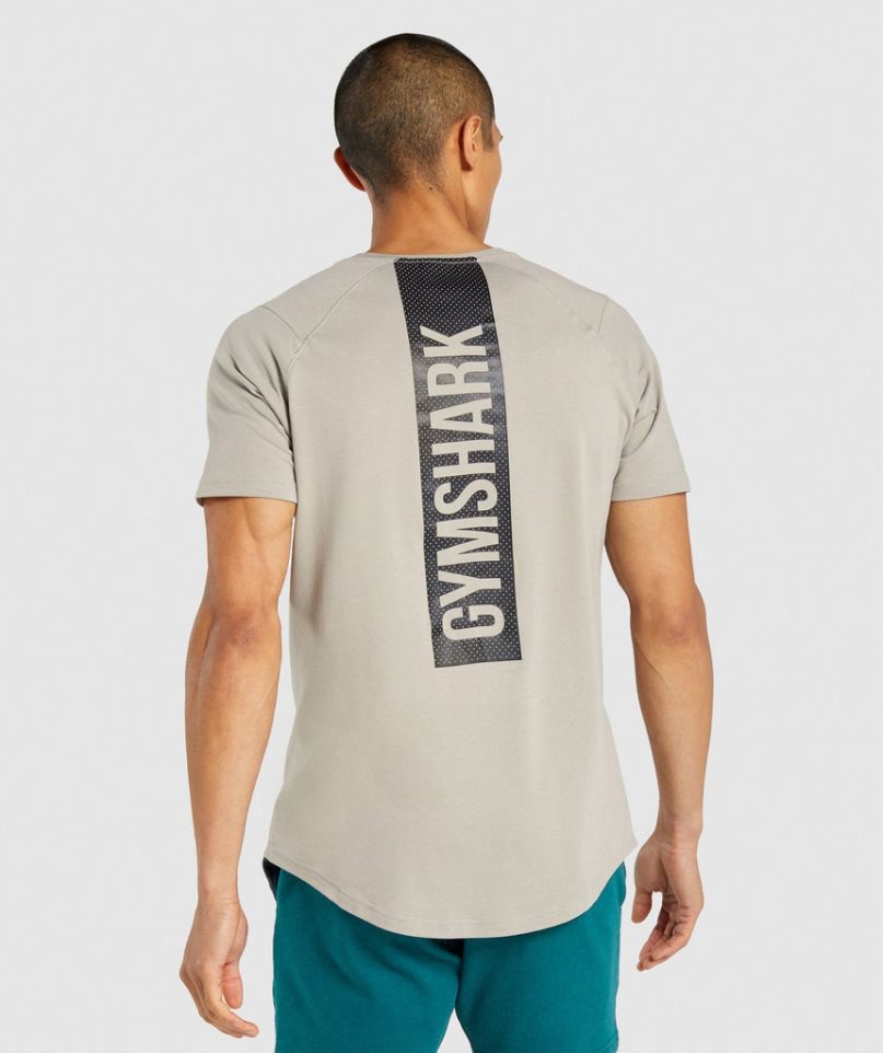 Gymshark Bold T-shirts Herren Grau | 41579WFQC