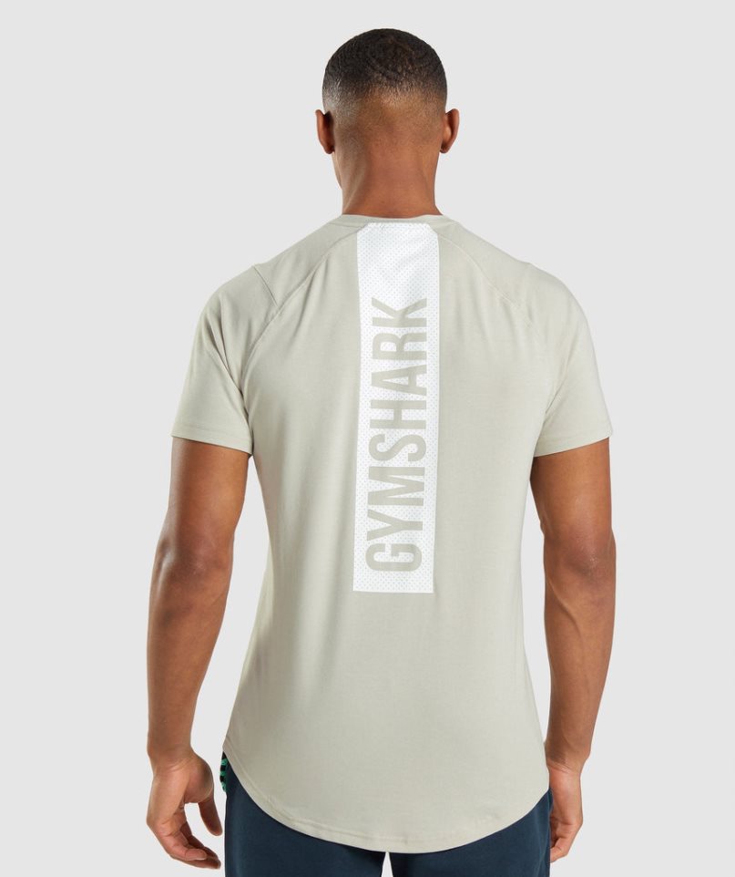 Gymshark Bold T-shirts Herren Mintfarben | 38459NGXR