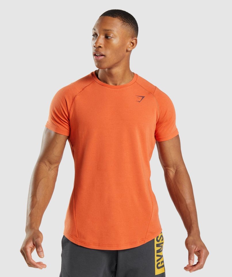 Gymshark Bold T-shirts Herren Orange | 50312VIPN