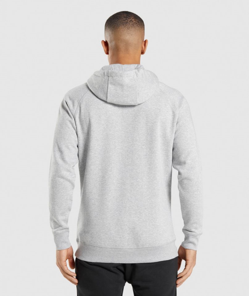 Gymshark Crest Hoodie Herren Hellgrau | 64902IRDO