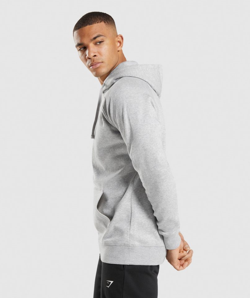 Gymshark Crest Hoodie Herren Hellgrau | 64902IRDO