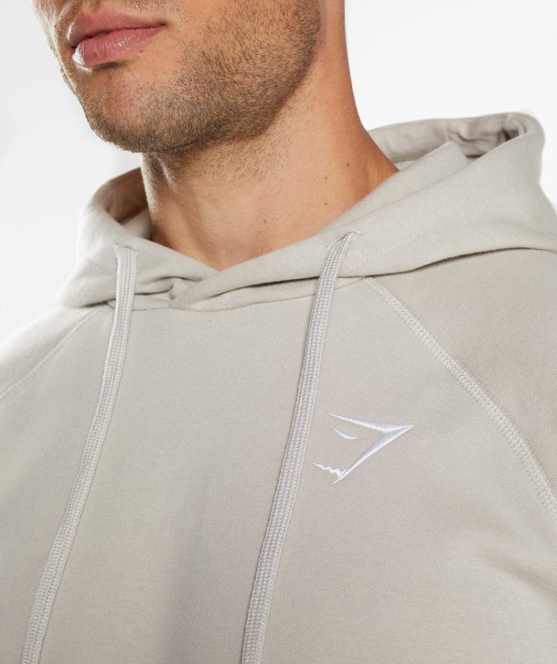 Gymshark Crest Hoodie Herren Hellgrau | 70946PYAV