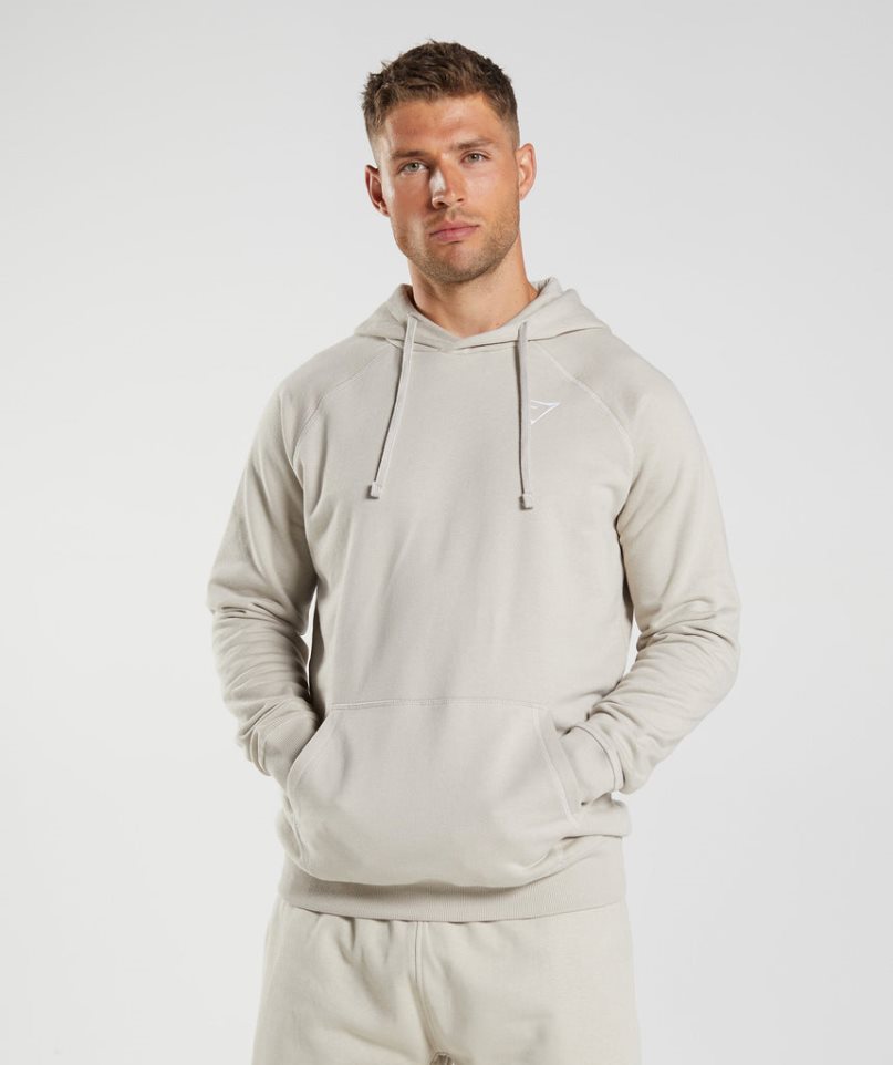 Gymshark Crest Hoodie Herren Hellgrau | 70946PYAV